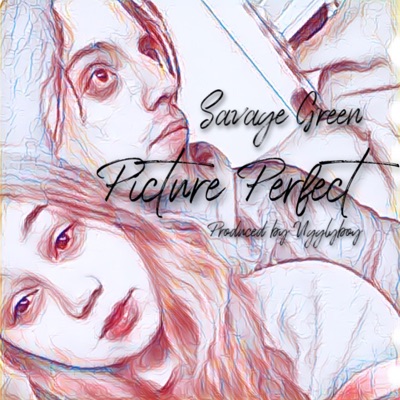 Picture Perfect - Single
