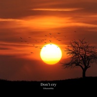 Don't Cry - Single - ethanashby