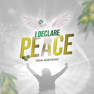 I Declare Peace