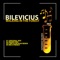 Walking In the Forest (Circular Run Remix) - Bilevicius lyrics