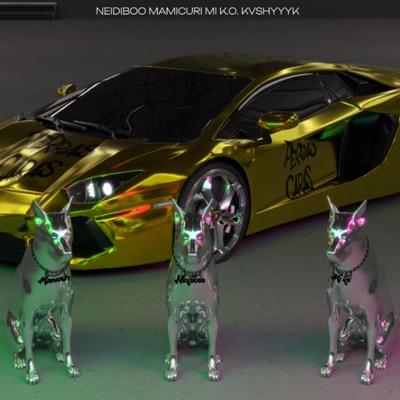 PERRAS CARAS (feat. Neidiboo, Mamicuri & Kvshyyyk) - Single