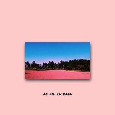 Ae Dil Tu Bata - Single