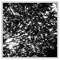 bout.that (feat. baseck) - clipping. lyrics