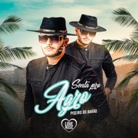 Senta pro Agro - Single - piseiro do barão & MDJAY