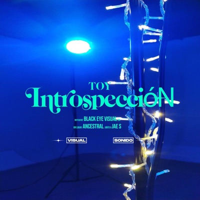 Introspección - Single