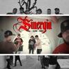 Sinergia (feat. C2H & EAC Familia) - Single