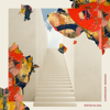 Always (Monkey Safari Remix) - RÜFÜS DU SOL