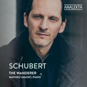 Schubert: The Wanderer artwork
