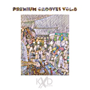 Premium Grooves, Vol. 6 (DJ Mix)
