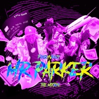 Mr Parker - FlyGuyVeezy