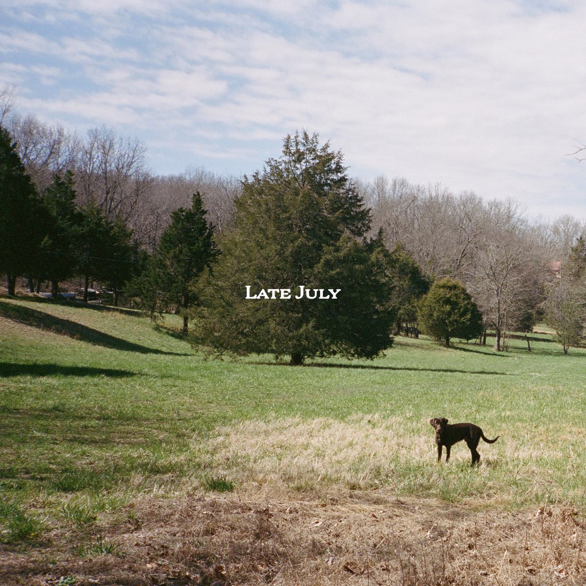 ‎Late July Single Album by Zach Bryan Apple Music