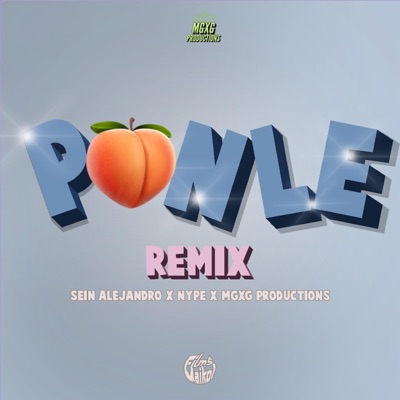 Ponle (feat. Nype, MGXG PRODUCTIONS & Sxbastixn bae) [Remix] - Single