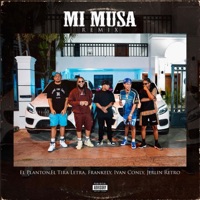 Musa (Remix) (feat. ElTiraLetra, Frankely el Real, IvanConly & Jerlin Retro) - Single - El Planton RD