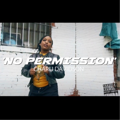 No Permission (Remix) - Single