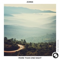 More Than One Night - Single - Zoree