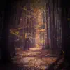 Stream & download Footsteps in Forest Sound to Help Relax and Improve Mood - Single