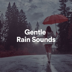 Gentle Rain Sounds