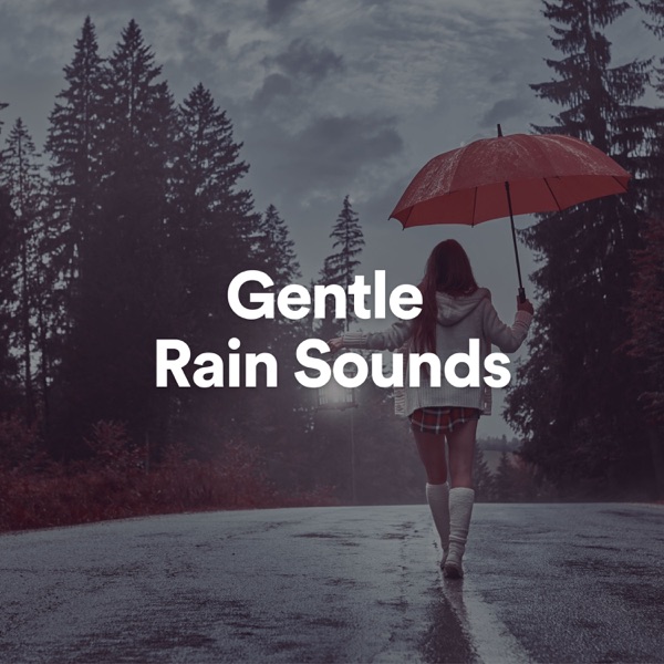 Gentle Rain Sounds