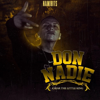 Don Nadie - Single