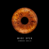 Wide Open - Edward Abela