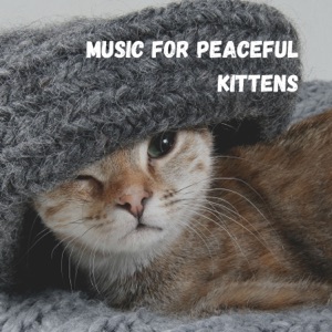 Music for Peaceful Kittens