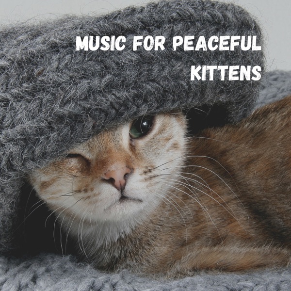 Music for Peaceful Kittens
