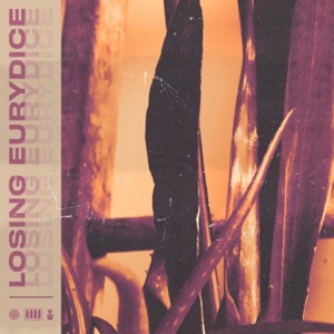 Losing Eurydice (feat. Antonio Sánchez) - Single