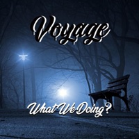 What We Doing - Single - Voyage