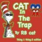 Aint No Sunshine (feat. Point5ive & 81fatz) - RB CAT lyrics
