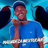 Malvadeza Inexplicável - Single