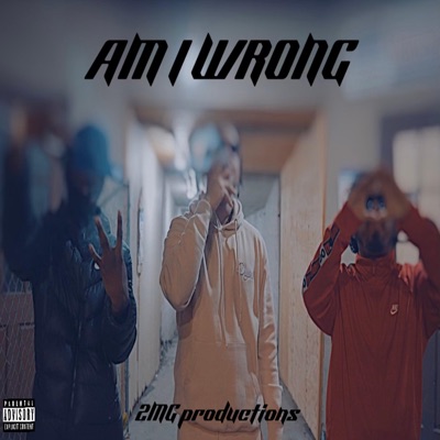 Am I Wrong?? - Single