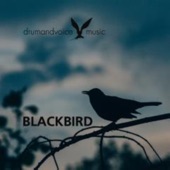 BlackBird artwork