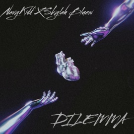 BLAME HIM/HER Navykidd, Skylah Bluew & Lazy Raggs