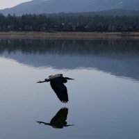 Inversions - Single - Tim Schaufert