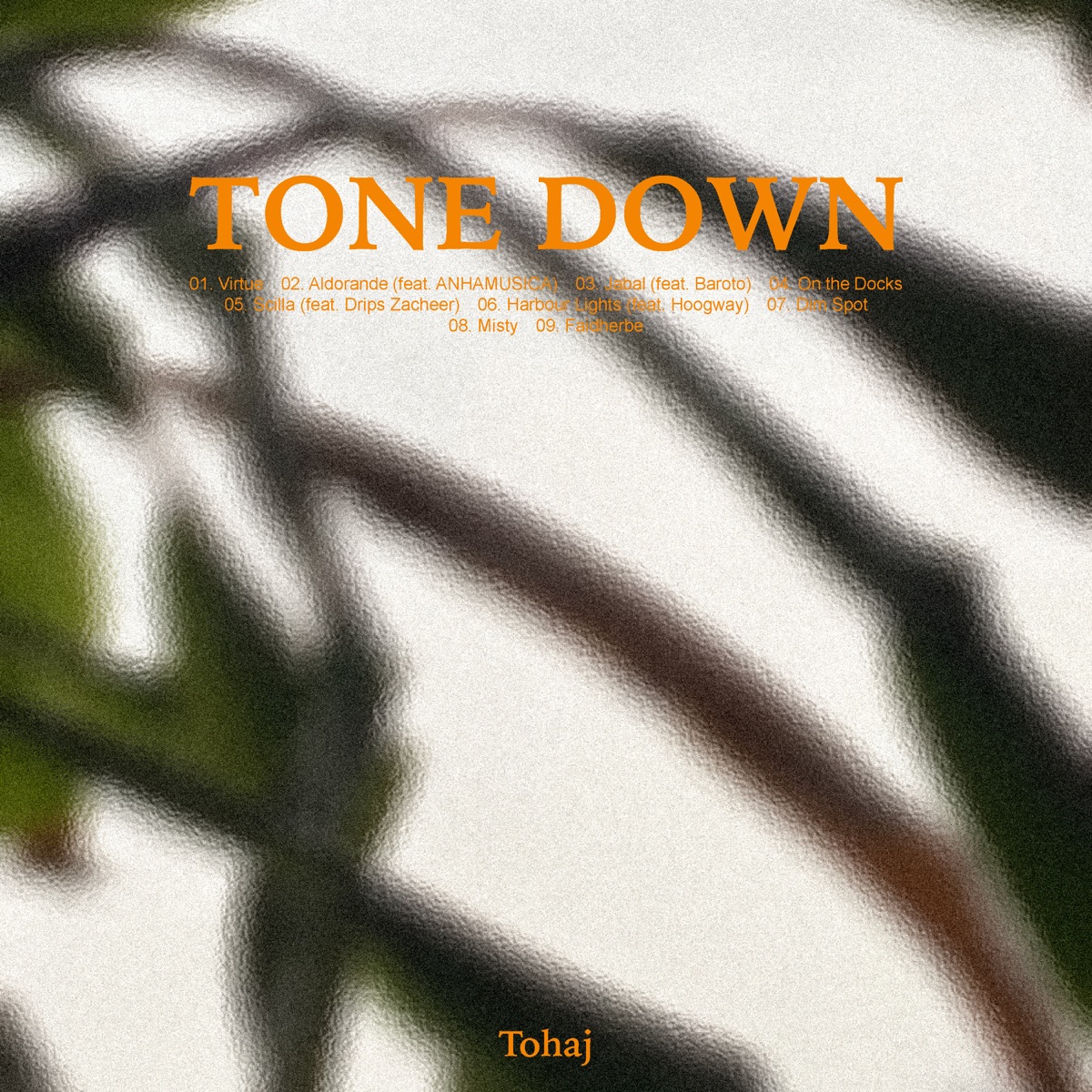 Tone Down – Album par Tohaj – Apple Music