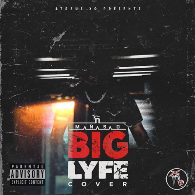 Big Lyfe - Single