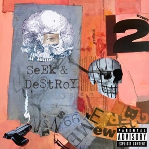 Seek & Destroy