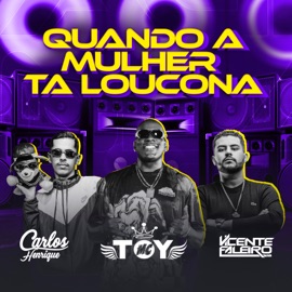 Quando a Mulher Ta Loucona (feat. DJ Vicente Faleiro & Mc Toy) Dj Carlos Henrique