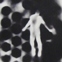 Downfall - Single - mol$ archive