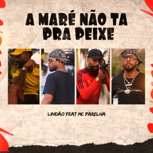 A Maré Não Ta pra Peixe (feat. Mc Parelha)