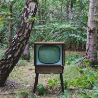 display. - Single - Treyywav