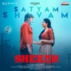 Satyam Shivam (From"Shekar Man With The Scar") - Single