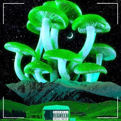 Psychedelics 3 - Single