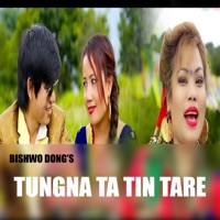 Tungna Ta Tin Tare (feat. Aakriti Lama) - Single - Bishwo Dong