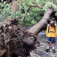 Curse In Disguise - Single - Statma