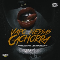 Vapo Nessas Cachorra (feat. Matheus no Beat) - Single - 88Big & Mc Djr
