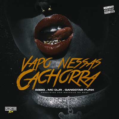 Vapo Nessas Cachorra (feat. Matheus no Beat) - Single