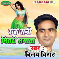 Ruk Rani Bhitare Samata - Single - Vinay Virat