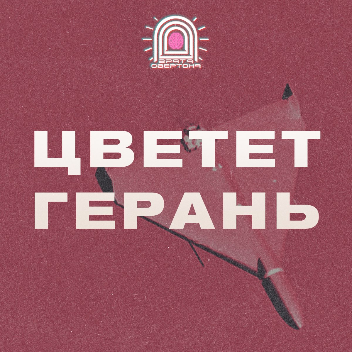 Цветет герань врата