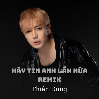 Hãy Tin Anh Lần Nữa (Vinahouse) - Single